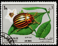 Sharja stamp